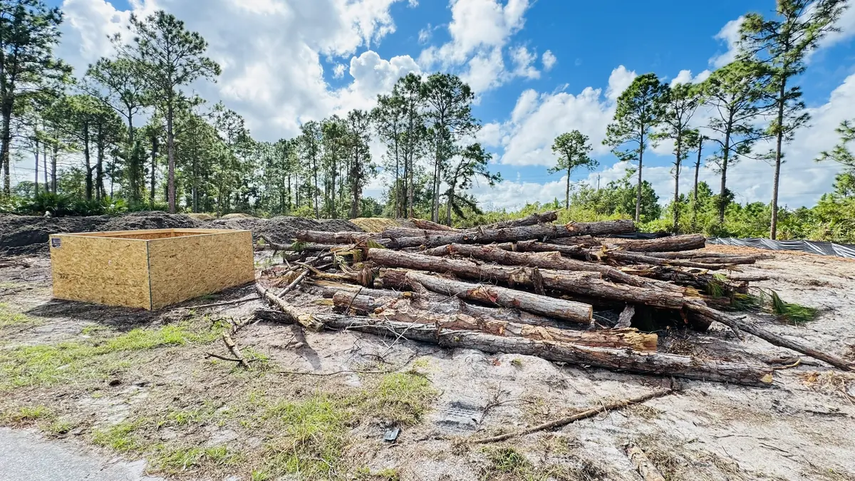 Lot cleared with pine logs stacked